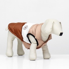 Куртка для собак Шоколад унисекс, бежево-коричневый полиэстер, размер M, длина спины 33 см No Brand