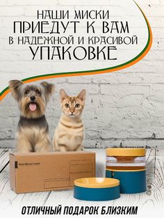 Миска для кошек SilvaBest, зелёная, 250 мл
