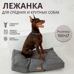 Лежанка для собак средних и крупных пород, темно-серый, рогожка, синтепух, 100х67см No Brand