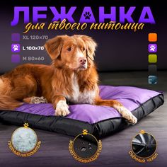 Лежанка для собак и кошек Happys_dogs, фиолетовая, оксфорд, холлофайбер, 100х70х10 см