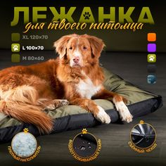 Лежанка собак и кошек Happys_dogs, хаки, оксфорд, холлофайбер, 100х70х10 см