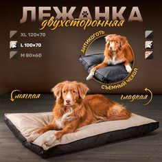 Лежанка для собак и кошек Happys_dogs, антивандальная, бежевая, микровелюр, 100х70х10 см