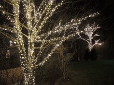 Гирлянды на дерево Клип Лайт BEAUTY LED Quality Light 30 м, 300 теплых белых LED, IP44 Laitcom