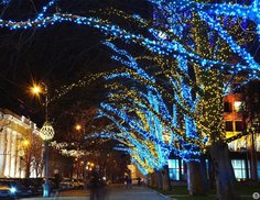 Гирлянды на дерево Клип Лайт BEAUTY LED Quality Light 30 м, 300 синих LED ламп, IP44 Laitcom