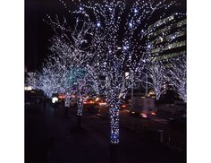 Гирлянды на дерево Клип Лайт BEAUTY LED Quality Light 30 м, 300 холодных белых LED, IP44 Laitcom