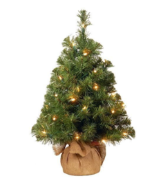 Ель настольная в мешочке 61 см, 35 LED ламп, батарейки, National Tree Company
