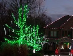 Гирлянды на дерево Клип Лайт BEAUTY LED Quality Light 60 м, 600 зеленых LED ламп, IP44 Laitcom