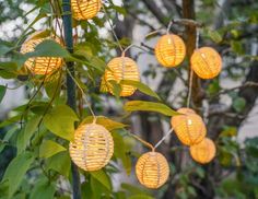 Светодиодная гирлянда ШАНЬСИ, 10 теплых белых LED-огней, 1.35+0.5 м, Koopman International