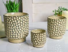Кашпо декоративные ФАВИ, керамика, 8-14 см, 3 шт., Kaemingk
