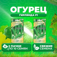 Семена огурец Гирлянда F1 Гавриш 10003758-2 2 уп.