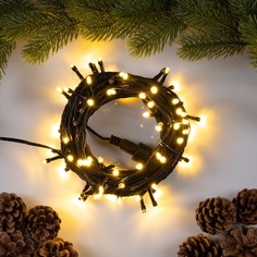 Гирлянда Luazon Lighting 9891717 10 м белый холодный