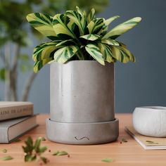 Цветочное кашпо MUSKO HOME MU-248-GL-7 1шт серый глянцевый