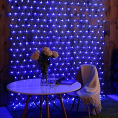 Гирлянда Сеть Luazon Lighting, 2 х 3 м , IP44, прозрачная нить, 384 LED, синее, 220 В