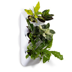 Цветочное кашпо Boxsand 7011wg-b 1 л белый 1 шт.