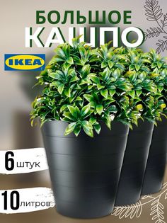 Кашпо для цветов ИКЕА Фнисс 10л, черный, 6шт Ikea