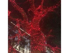 Гирлянды на дерево Клип Лайт Quality Light 60 м, 600 красных LED ламп, IP44, BEAUTY LED Laitcom