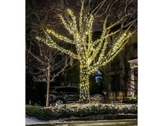 Гирлянды на дерево Клип Лайт BEAUTY LED Quality Light 60 м, 600 теплых белых LED, IP44 Laitcom