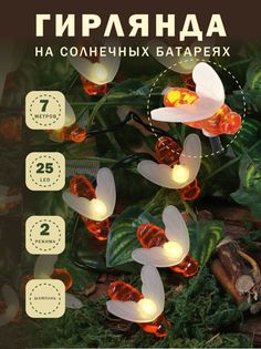 INBLOOM Гирлянда на солн.батарее, 25LED, 7м, шампань, 2 реж, пчелка, ПВХ зел, 2V80mA