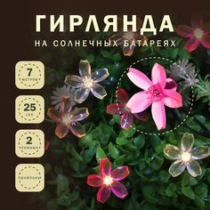 INBLOOM Гирлянда на солн. батарее, 25LED, 7м, шампань, 2 реж, сакура, ПВХ зел, 2V80mA