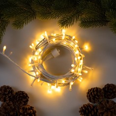 Гирлянда Luazon Lighting 9891719 10 м белый холодный