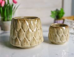Кашпо декоративные ПАВОНЕ, керамика, 10-16 см, 2 шт., Kaemingk