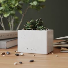 Горшок, кашпо для цветов и суккулентов Emily XL, 0,8 л, бетон, глянцевый белый Musko Home