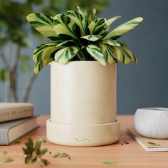 Цветочное кашпо MUSKO HOME MU-248-GL-11 1шт кремовый глянцевый