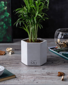 Цветочное кашпо MUSKO HOME SаkurаMU-004-7 1шт белый