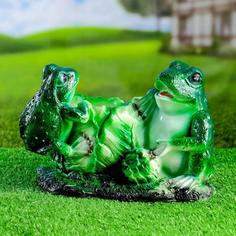 Цветочное кашпо Хорошие сувениры Две лягушки на капусте 0,8 л разноцветный