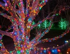 Гирлянды на дерево Клип Лайт BEAUTY LED Quality Light 60 м, 600 разноцветных LED, IP44 Laitcom