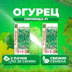 Семена огурец Гирлянда F1 Гавриш 191021420-2 2 уп.