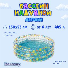 Бассейн Bestway 51 045
