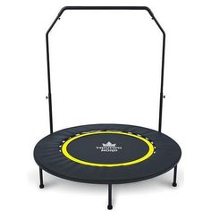 Батут-тренажер с держателем, 102 см, Triumph Nord Intex