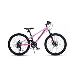 Велосипед Maxiscoo 7BIKE 24 M300 (2024) Розовый MSC-M7-2405