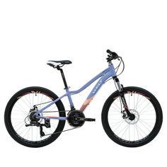 Велосипед WELT Floxy 24 1.0 D 2024 13" фиолетовый