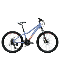 Велосипед WELT Floxy 24 1.0 D 2024 13" фиолетовый