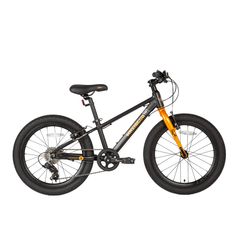 Велосипед Maxiscoo 5BIKE 20 M (2024) Черный Матовый MSC-M5-2002