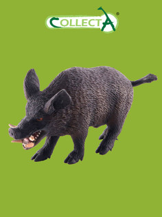 Фигурка collecta кабан, m