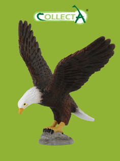 Фигурка птицы Collecta, Американский лысый орел