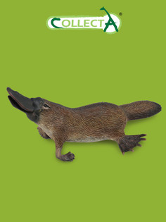 Фигурка животного Collecta Утконос M