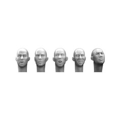 HH07 5 different east Asian bald heads Hornet