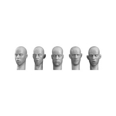 HH20 5 different heads looking down Hornet