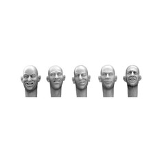 HH11 5 different heads laughing, joking Hornet