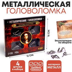 Металлические головоломки Загадки Ньютона (набор 4 шт) No Brand