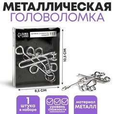 Головоломка Раздели на части №21 No Brand
