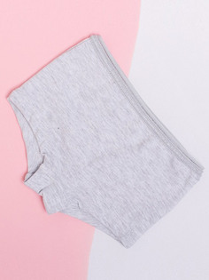 Трусы для девочки (043/1_НБЛ23) Batik цв. серый меланж 122р. Батик