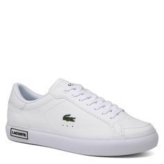 Кроссовки и кеды Lacoste