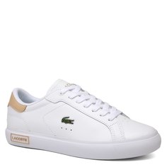 Кроссовки и кеды Lacoste