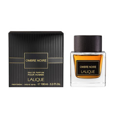 Парфюмерная вода для мужчин Lalique Ombre Noire 100 мл