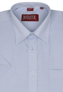 Рубашка мужская Imperator AVR2346 голубая 42/170-178